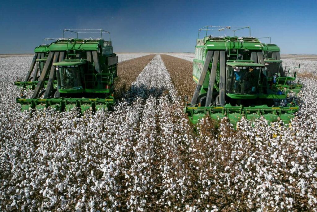 Cotton Bulls Push Higher Heading into the Thursday Close