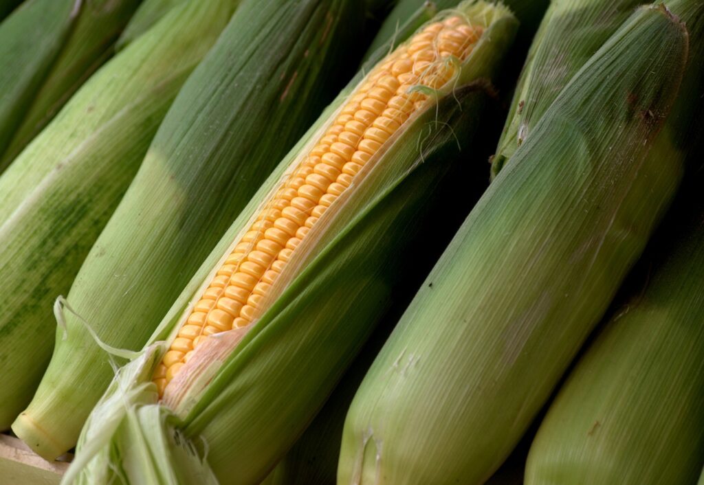 Corn Closes July with Weakness