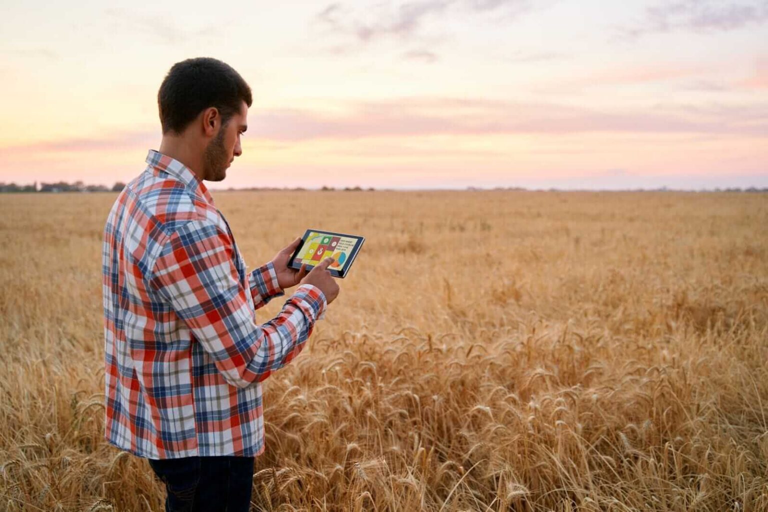Wheat Hold Higher on Friday